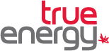 True Energy Group