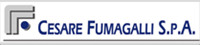 Cesare Fumagalli spa