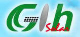 Gloria Solar International Holding, Inc.