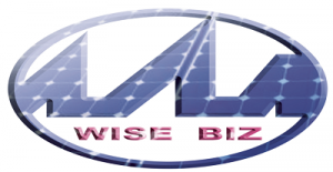 Wisebiz Limited