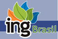 Ing Brasil Ltda