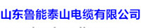 山东鲁能泰山电缆有限公司