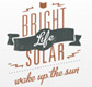 Bright Life Solar Inc