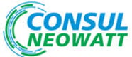 Consul Neowatt Power Solutions Pvt Ltd