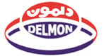 Delmon Solar Co., Ltd.