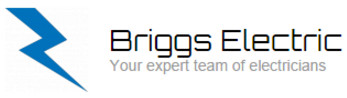 Briggs Electric