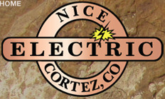 Nice Electric