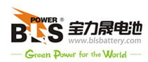 Shenzhen BLS Battery Co., Ltd.