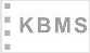 KBMS Consult GmbH