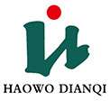 Shandong Haowo Electric Co., Ltd.
