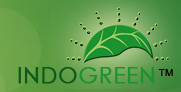 PT. Indogreen Technology and Management