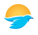 Bluebird Solar and Light, LLC