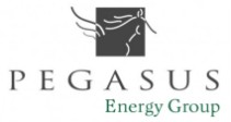 Pegasus Energy Group srl