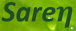 Saren