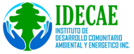 Instituto de Desarrollo Comunitario, Ambiental y Energético, Inc.