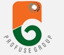 Profuse Energy & Infrastructure Pvt Ltd