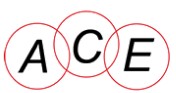 Ace Seal, LLC