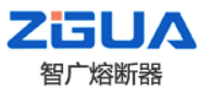 Zhejiang Zhiguang Fuse Co., Ltd.