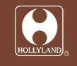 Hollyland (China) Electronic Technology Co., Ltd.
