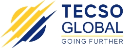 TecSo Global