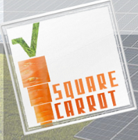 Square Carrot Consulting