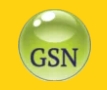 Global Solar Network, LLC
