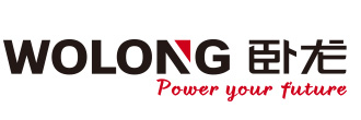 Zhejiang Longneng Electric Power Development Co., Ltd.