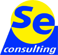 SE Consulting GmbH