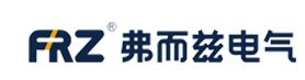 Zhejiang Frsi Electric Technology Co., Ltd.