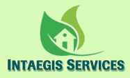 Intaegis Services Pvt. Ltd.