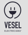 Electricianu' Vesel Srl