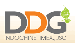 Indochine Imex., JSC (DDG)