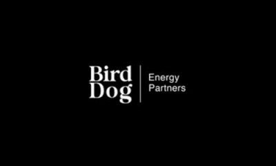 Bird Dog Energy