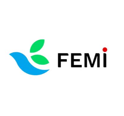 Anhui Femi New Energy Technology Co., Ltd