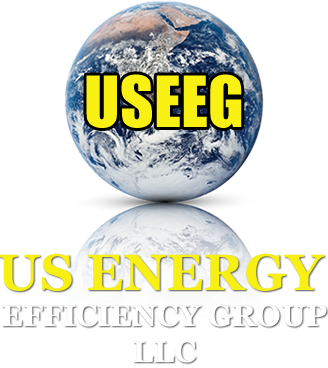 US Energy Efficiency Group LLC
