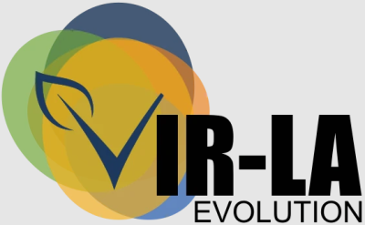 VIR-LA Evolution Kft.