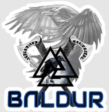 Baldur Roofing-Solar-Exteriors