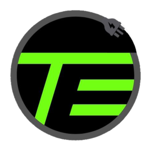 Traditional Electric Inc.