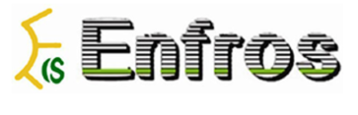 Enfros India Solutions Private Limited