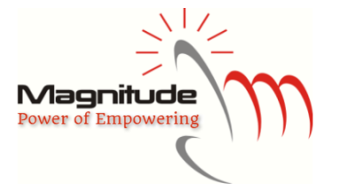 Magnitude Transformer