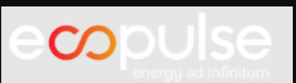 Ecopulse S.A. de C.V.