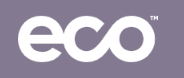 Eco Sustainable Solutions Ltd.