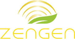 Zengen