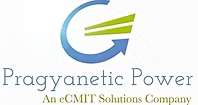 Pragyanetic Power P Ltd.