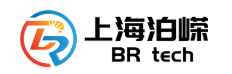 上海泊嵘新能源科技有限公司