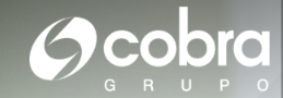 Grupo Cobra