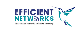 Efficient Networks