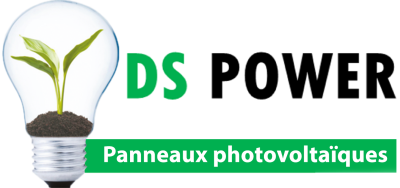 DS Power