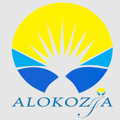 Alokozia Solar Power Energy Technology Co., Ltd.
