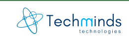 Techminds Technologies Limited